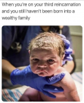 48817