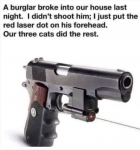 48824