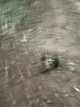 IMG_3757.jpeg
