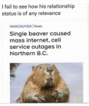 49013