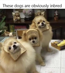 49148
