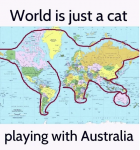 49193