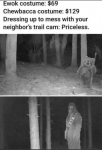 49198