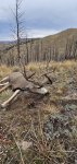 20251010_084055.jpg
