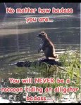 IMG_9696.jpeg