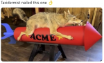 50045