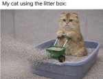 50109