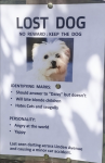 1780104181294.png