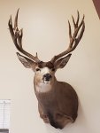 20200323_123915.jpg
