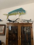 fish 002.JPG