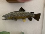 fish 001.JPG