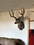 IMG_0572.jpeg