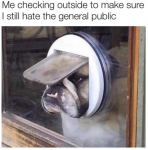 50384