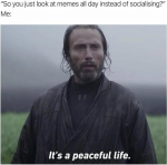 50476