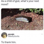 50488