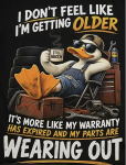 50558