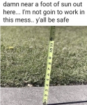 50606