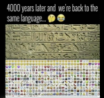 50627