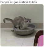 50633