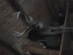 20130519_133513.jpg