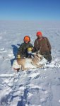 antelope 4.jpg