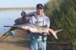 2006pfish.jpg