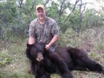 2013 bear.jpg