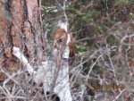 IMG_0076.jpg