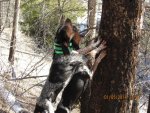 IMG_0138.jpg