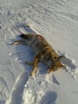 2013-01-01_10.01.58.jpg