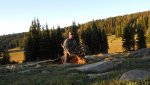 DSCN0718.jpg