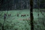 _MG_6866.jpg