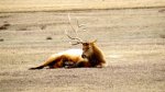IMG_0184.jpg