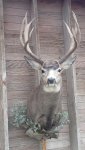 Wyoming 2013 Mount.jpg