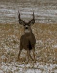 wyoming 2013-10.jpg