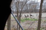 DSC_0278.jpg
