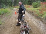 bikebullbike2.jpg