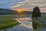 yellowstone.jpg