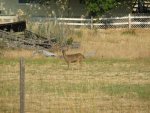 jul08 001.jpg