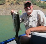 New Melones bass 2013.jpg