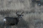 IMG_6015.jpg