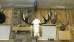 Moose form 2.jpg