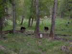 DSCN1815.jpg