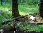 HUNT0039.jpg