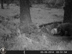 HUNT0032.jpg