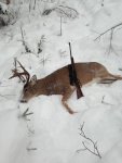 fall buck.jpg