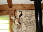 DSC04313.jpg