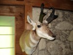 DSC04307.jpg