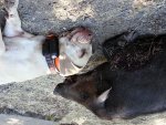 20140525_092734.jpg