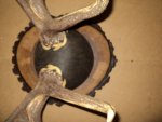 DSC01483.jpg